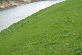 常見護(hù)坡樣式、特點(diǎn)及性能